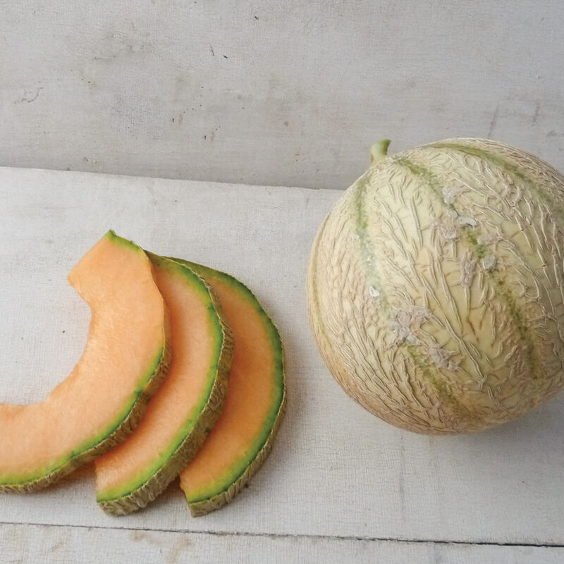 D'Artagnan Charentais Melon
