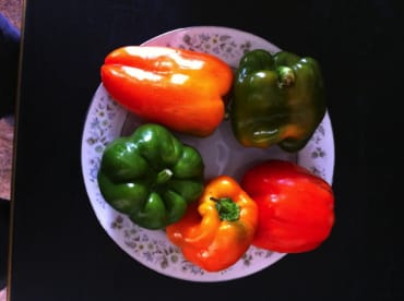 Corona Orange Bell Pepper