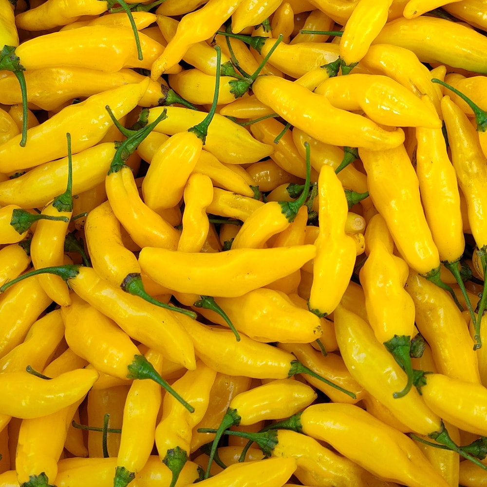 Limón Lightning Pepper