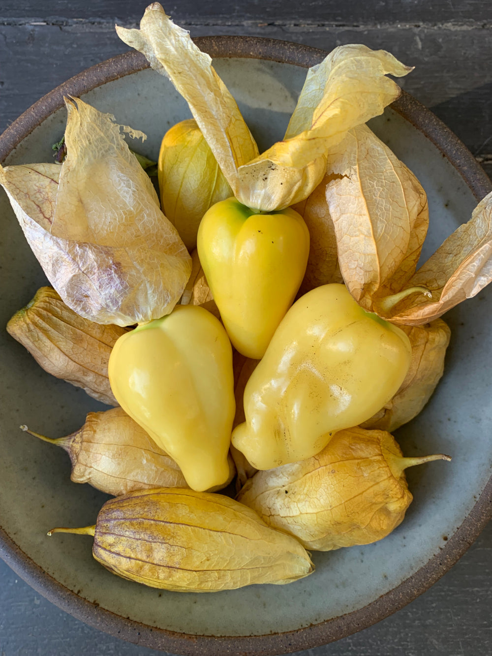 Queen Of Malinalco Tomatillo