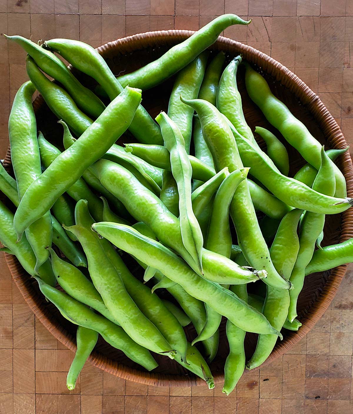 Fava Beans, Quart