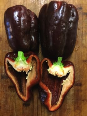 Chocolate Cake Sweet Bell