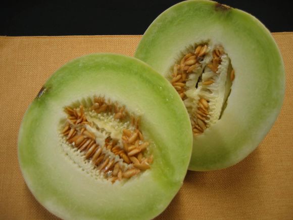 Honeycomb Honeydew