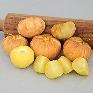 Mexican Strain Tomatillo