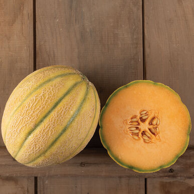 Milan Tuscan Cantaloupe