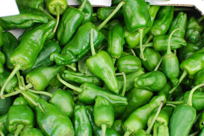 Pimiento de Padron