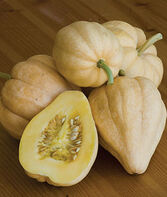 Thelma Sanders Sweet Potato Acorn Squash