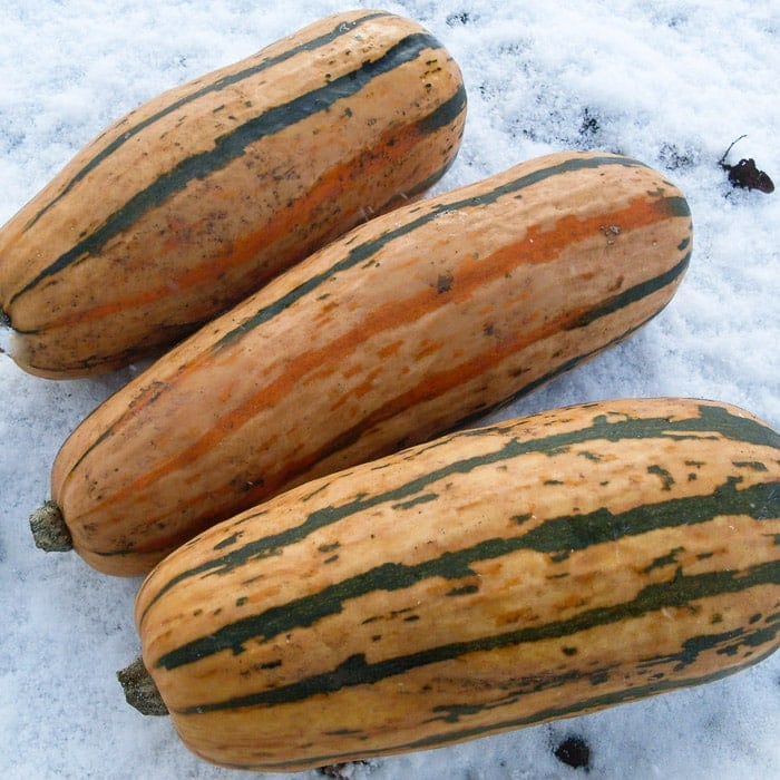Delicata Honey Boat
