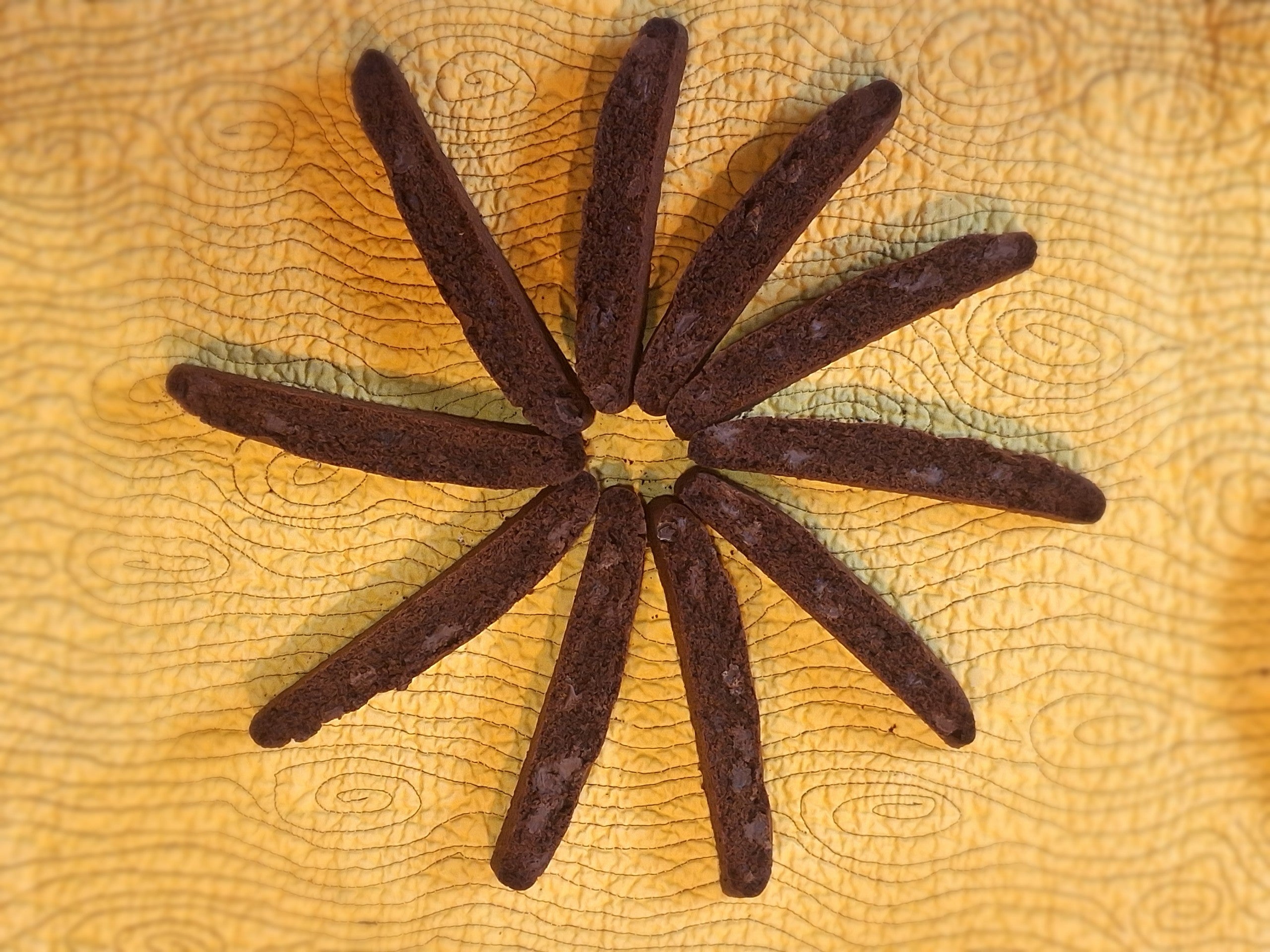 Double Chocolate Biscotti $18/10 Biscotti