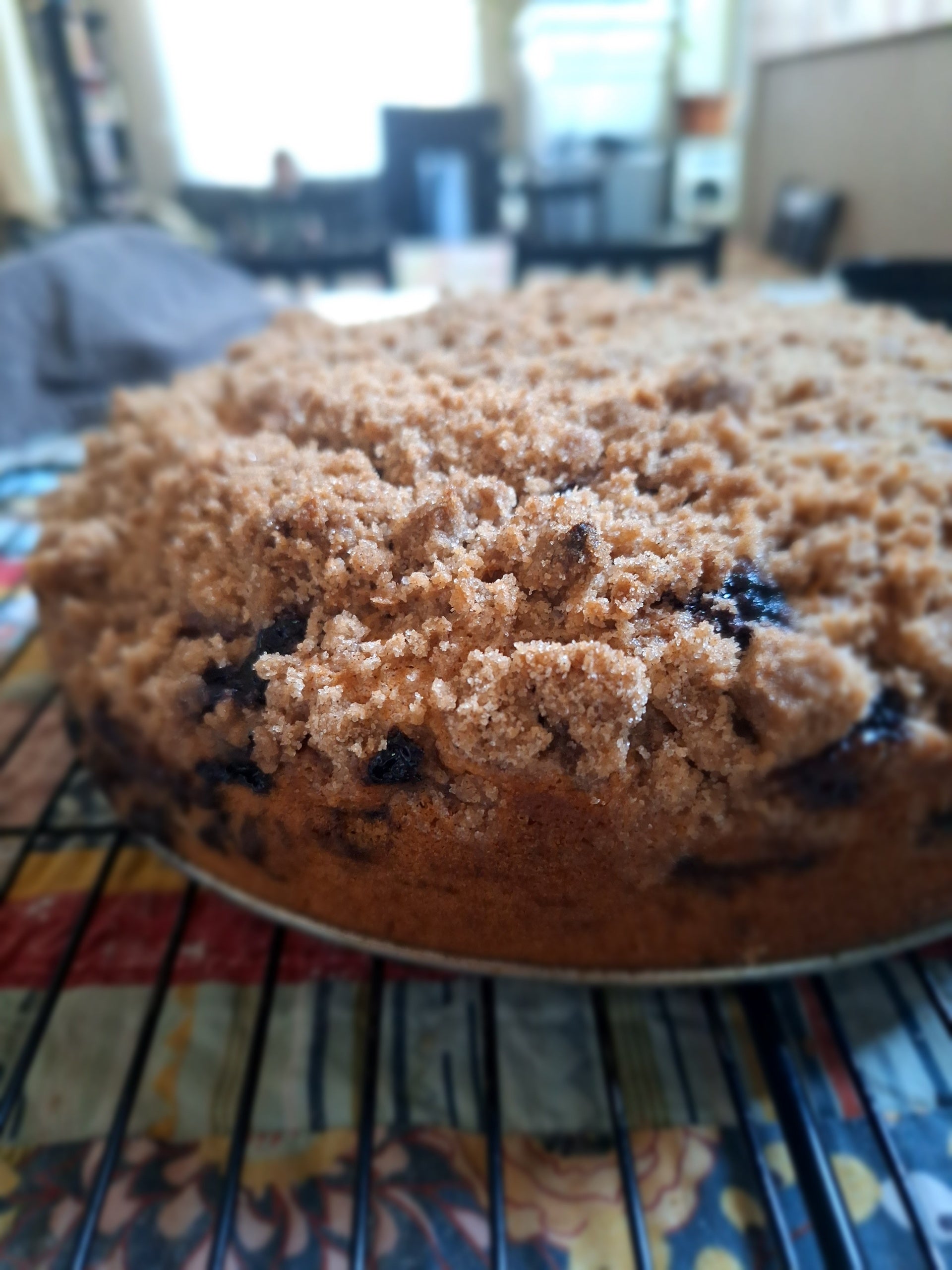 Blueberry Crumb Cake