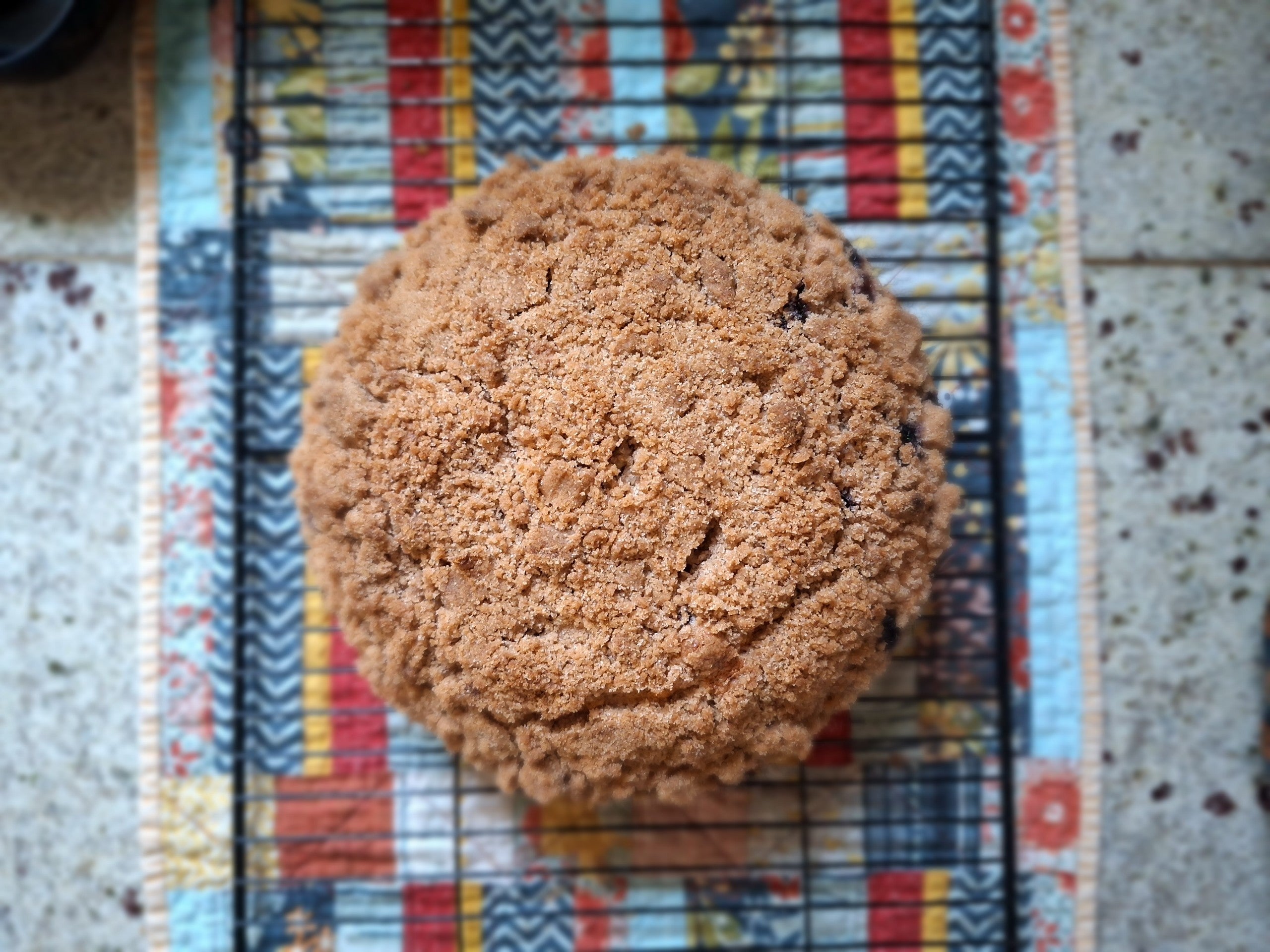 Blueberry Crumb Cake