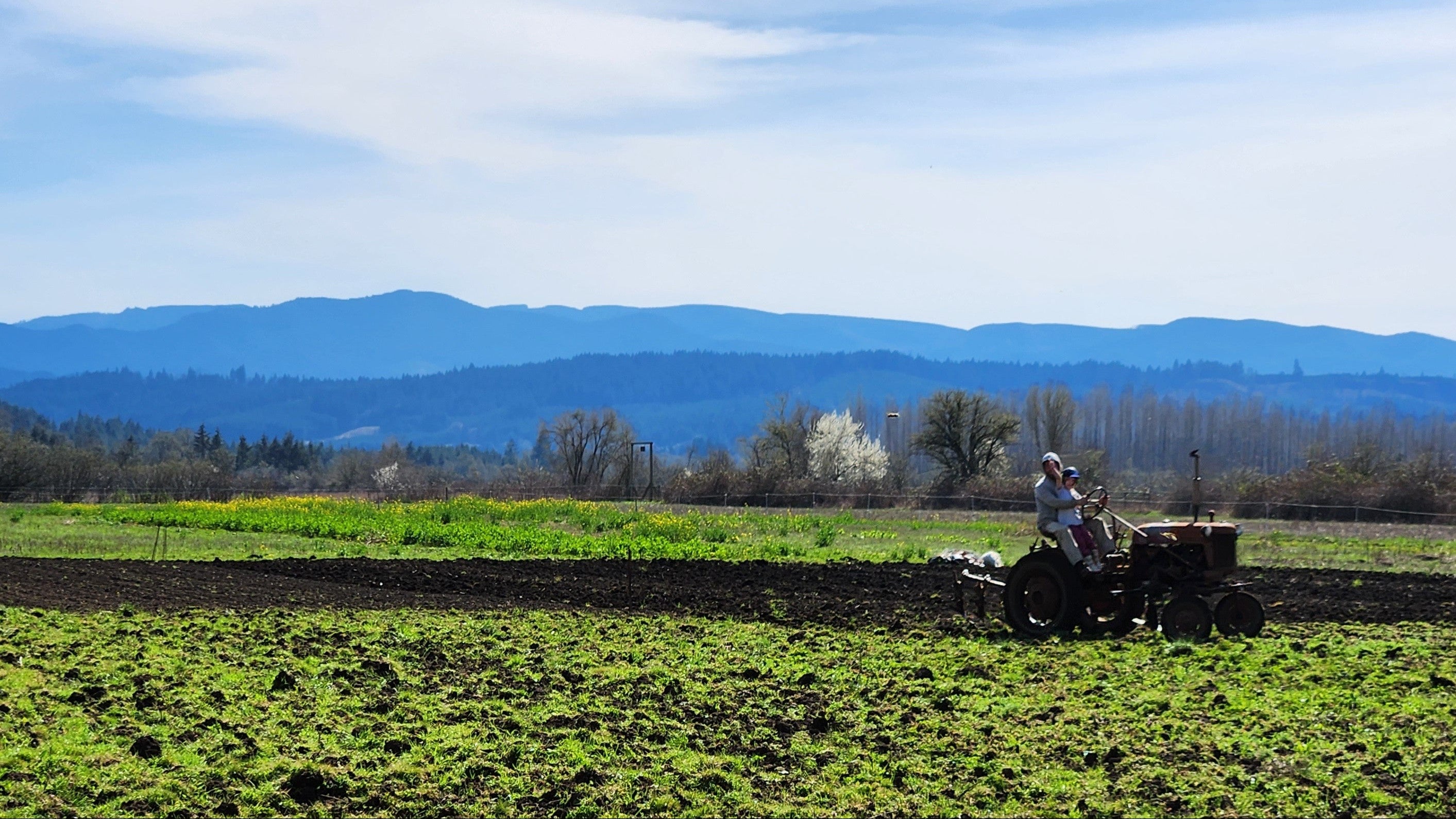 Farmer on a tractor in a field with mountains in the background