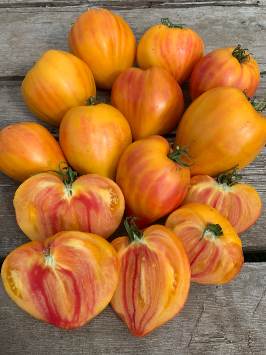 Midnight Sun Tomato