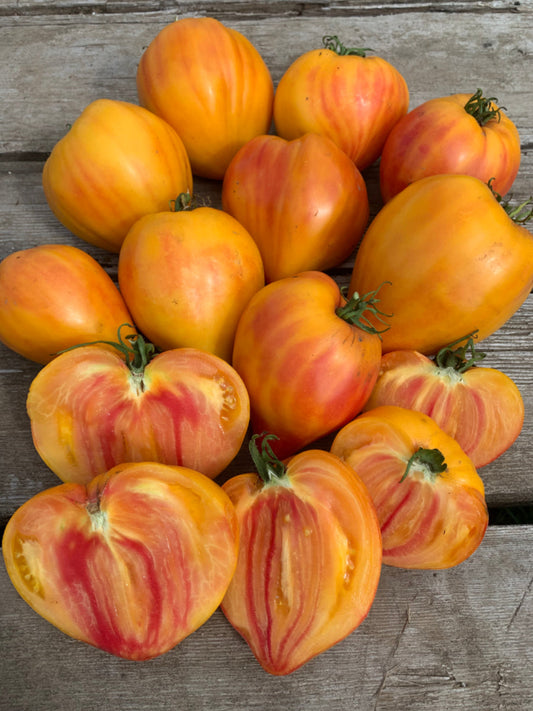 Midnight Sun Tomato
