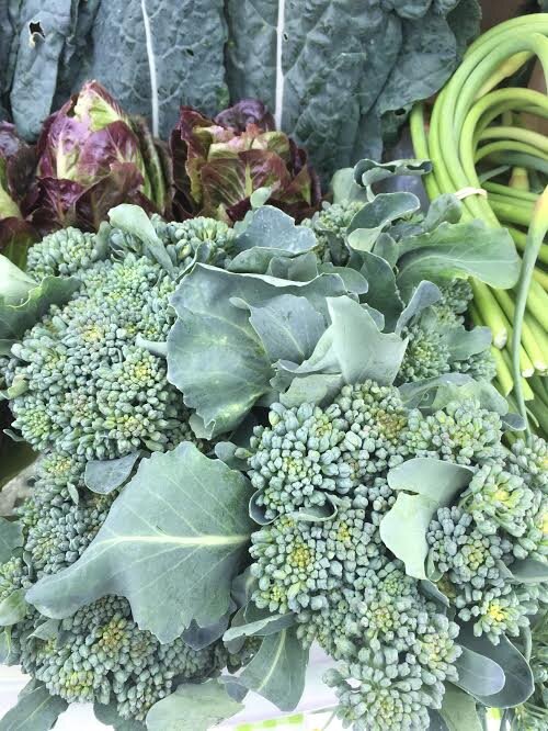 Broccolini, bunch