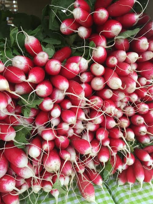 French Breakfast Radish, bunch