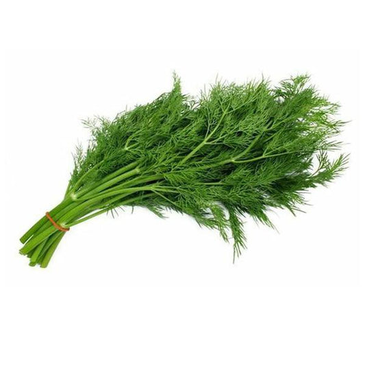 Dill, bunch