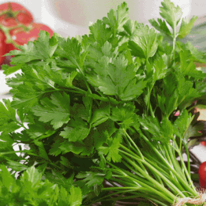 Parsley Bunch