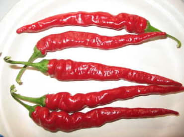 Long Red Narrow Cayenne