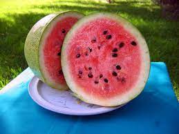 Bozeman Watermelon