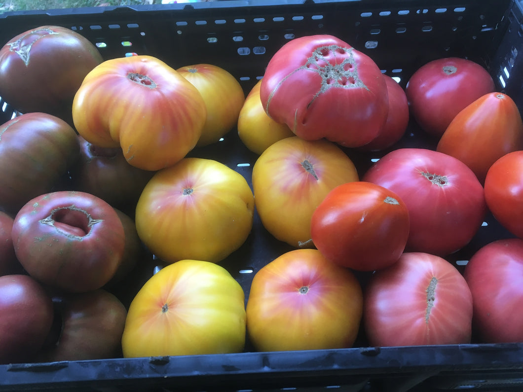 Heirloom Tomatoes, per pound