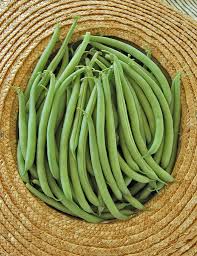Provider Green Beans, 6 pack