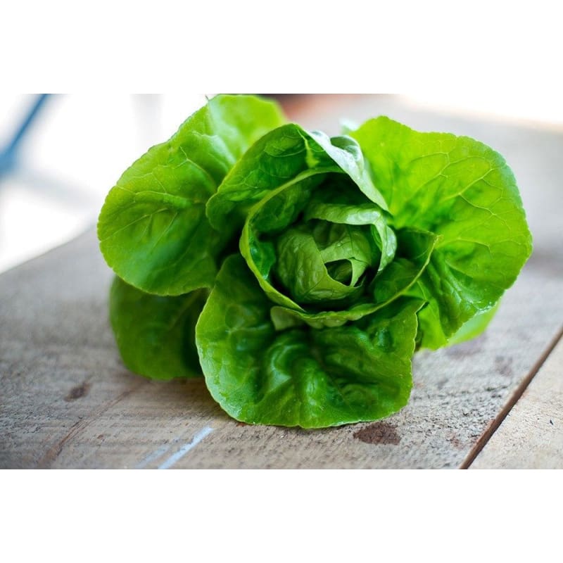 Little Gem Lettuce, per head